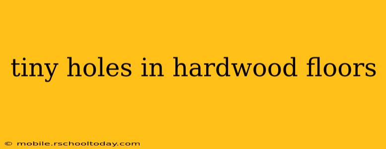 tiny holes in hardwood floors