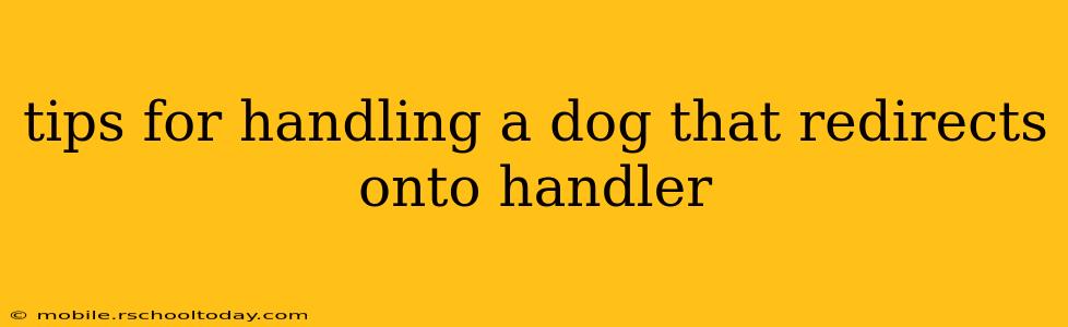 tips for handling a dog that redirects onto handler
