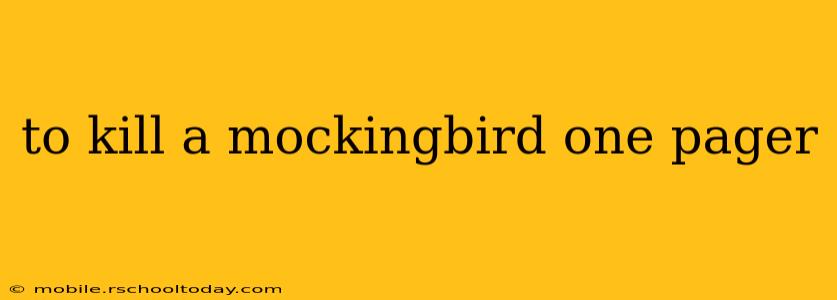 to kill a mockingbird one pager