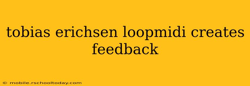 tobias erichsen loopmidi creates feedback