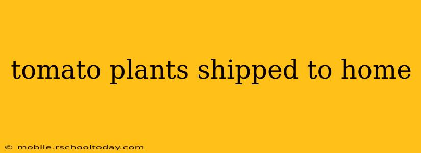 tomato plants shipped to home