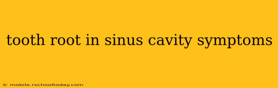 tooth root in sinus cavity symptoms