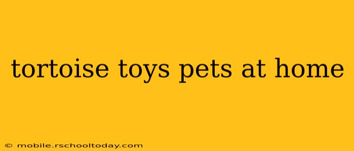 tortoise toys pets at home