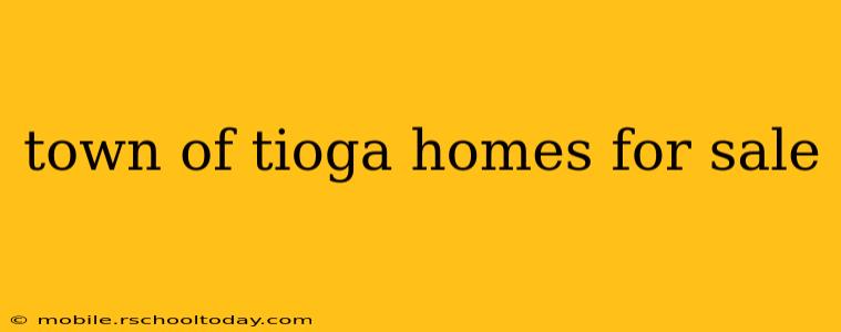 town of tioga homes for sale