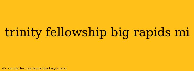 trinity fellowship big rapids mi