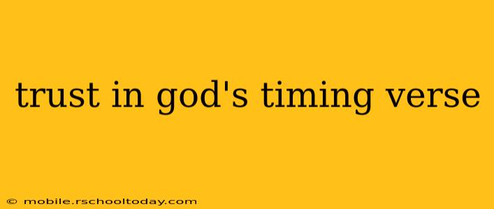 trust in god's timing verse