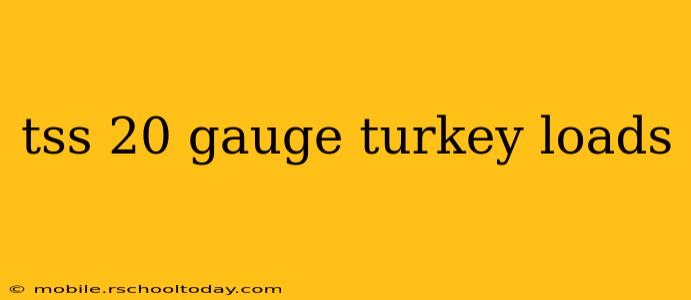 tss 20 gauge turkey loads