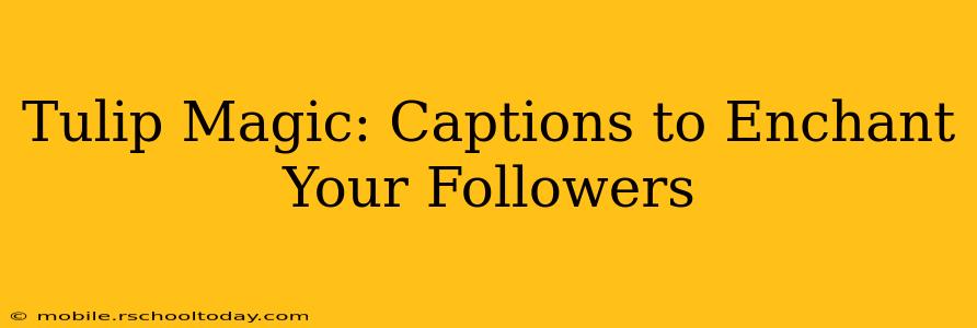 Tulip Magic: Captions to Enchant Your Followers