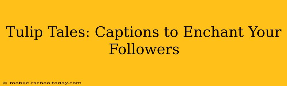 Tulip Tales: Captions to Enchant Your Followers