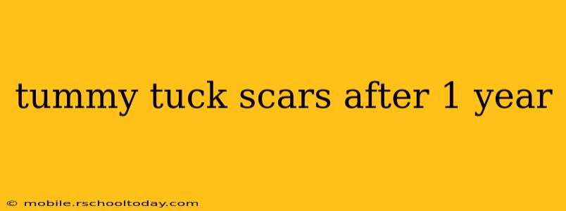 tummy tuck scars after 1 year