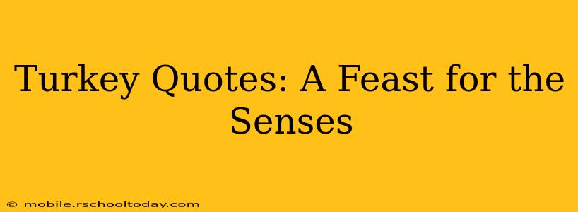 Turkey Quotes: A Feast for the Senses