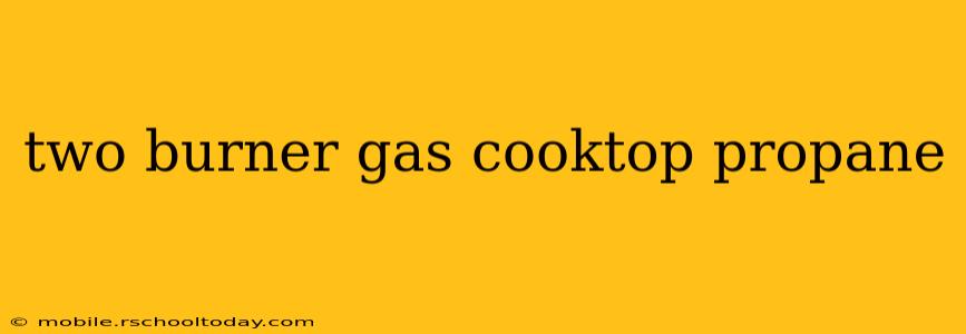 two burner gas cooktop propane