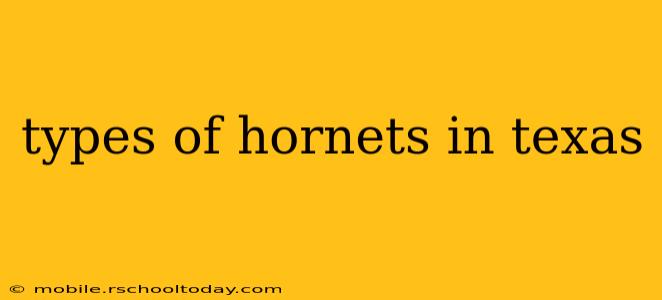 types of hornets in texas