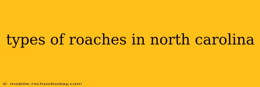 types of roaches in north carolina