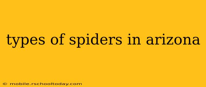 types of spiders in arizona