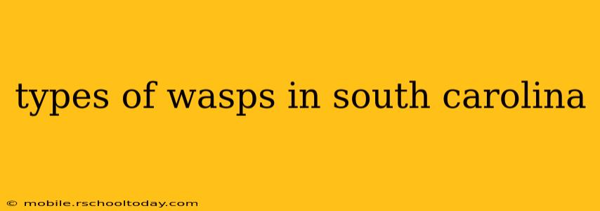types of wasps in south carolina