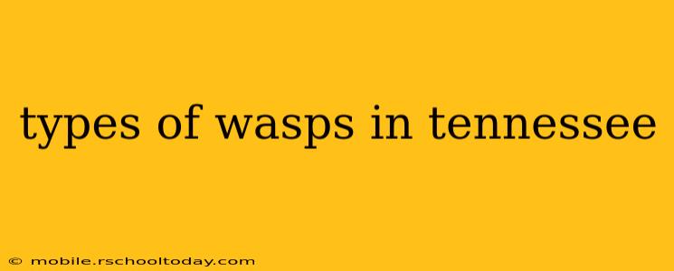 types of wasps in tennessee