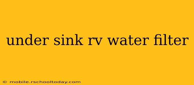 under sink rv water filter