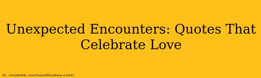 Unexpected Encounters: Quotes That Celebrate Love
