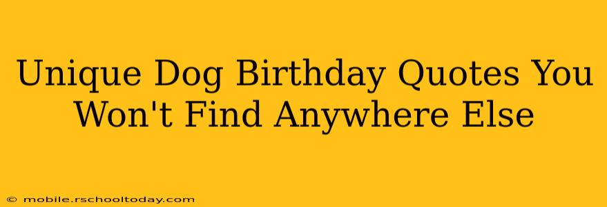 Unique Dog Birthday Quotes You Won't Find Anywhere Else