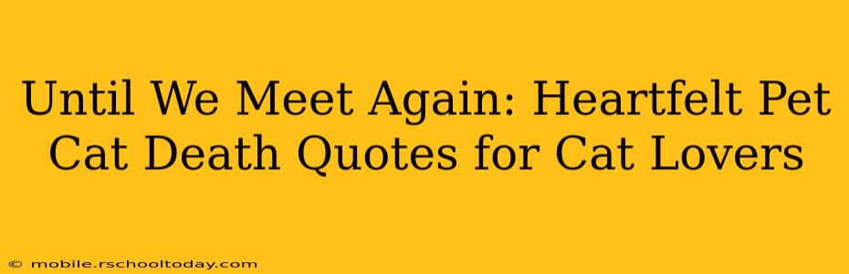 Until We Meet Again: Heartfelt Pet Cat Death Quotes for Cat Lovers