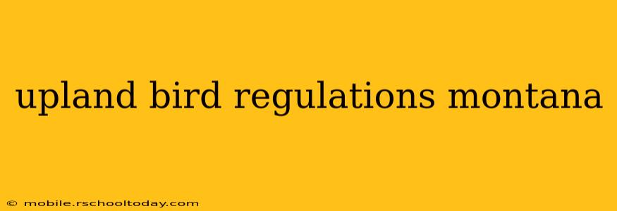 upland bird regulations montana