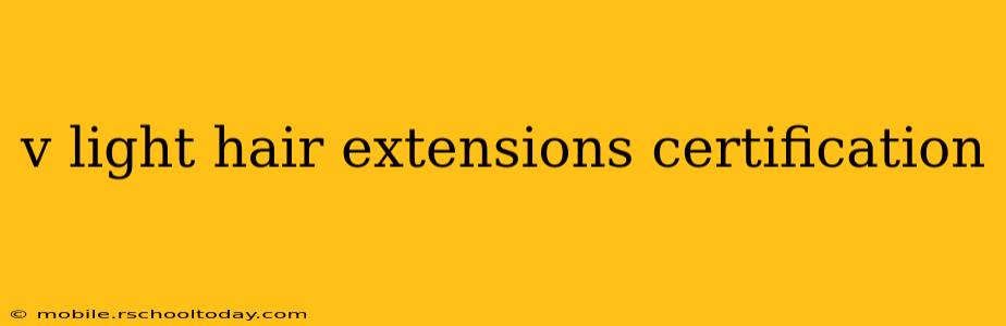 v light hair extensions certification