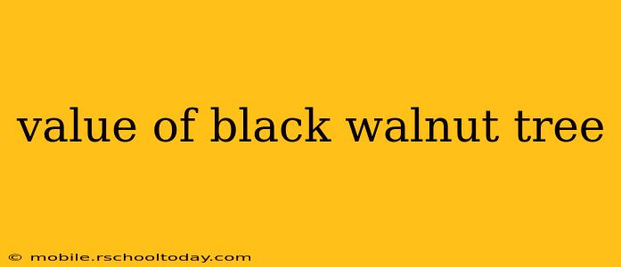 value of black walnut tree