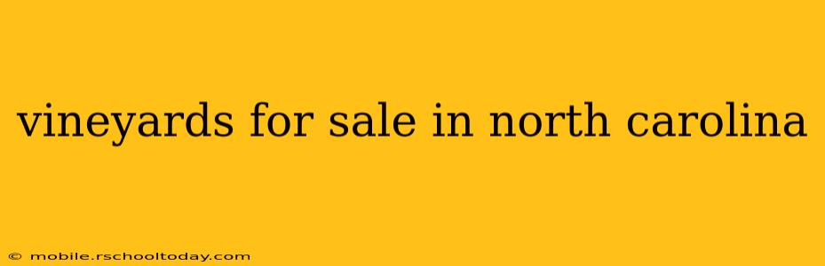 vineyards for sale in north carolina