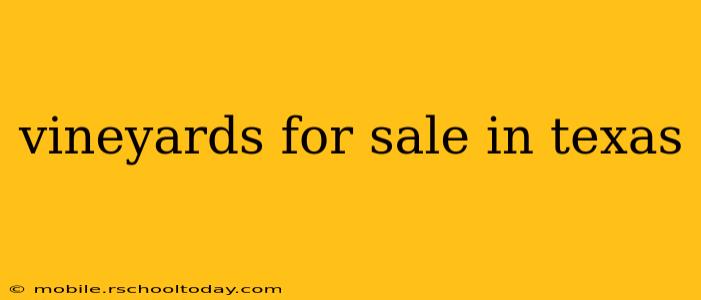 vineyards for sale in texas