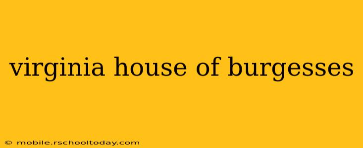 virginia house of burgesses