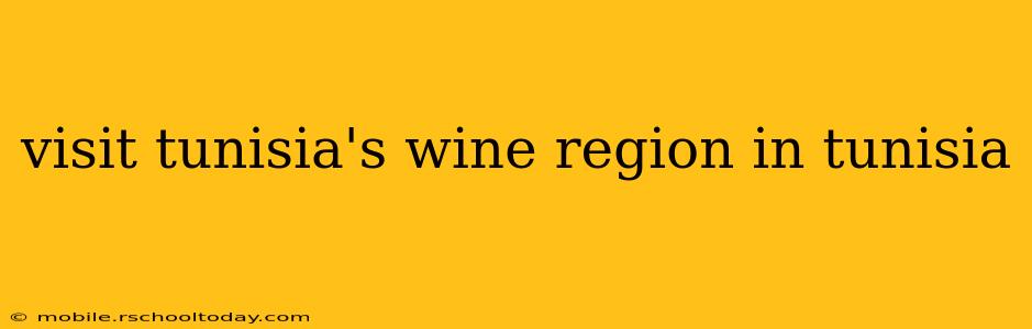 visit tunisia's wine region in tunisia