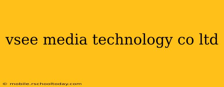 vsee media technology co ltd
