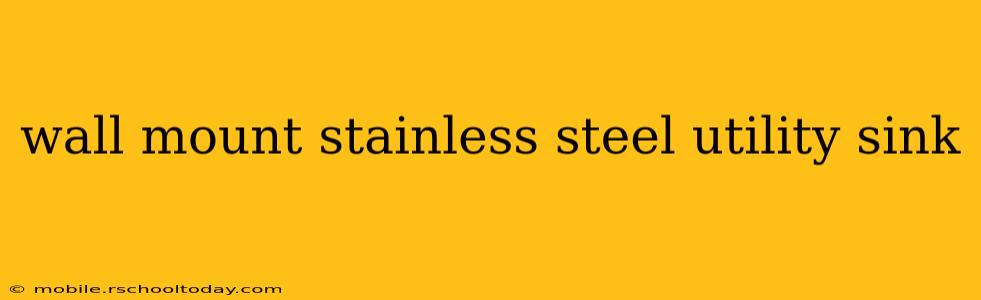 wall mount stainless steel utility sink