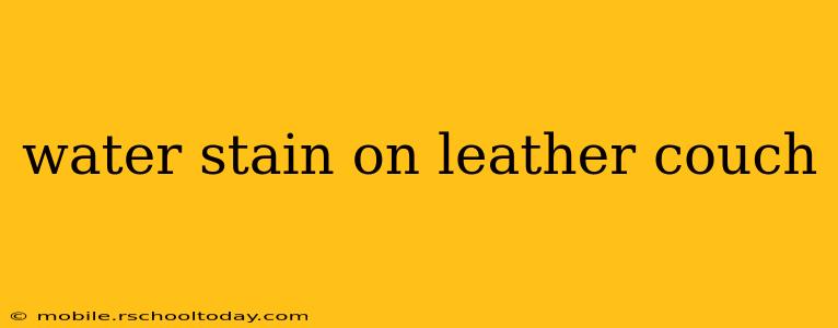 water stain on leather couch