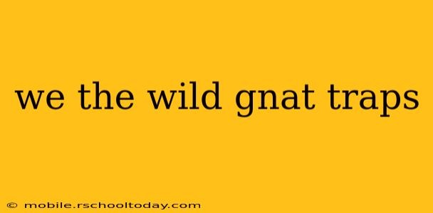 we the wild gnat traps