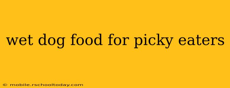 wet dog food for picky eaters