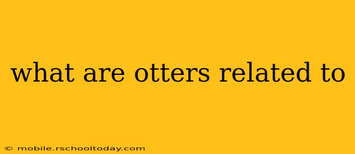 what are otters related to