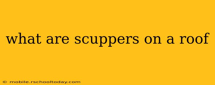 what are scuppers on a roof