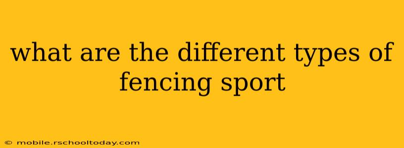 what are the different types of fencing sport