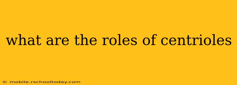 what are the roles of centrioles