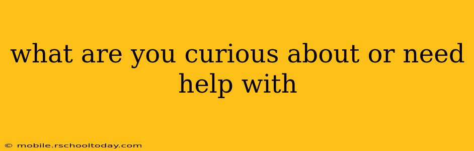 what are you curious about or need help with