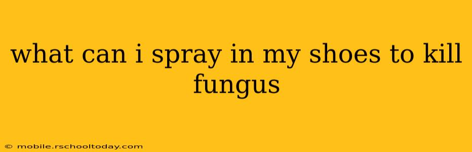 what can i spray in my shoes to kill fungus