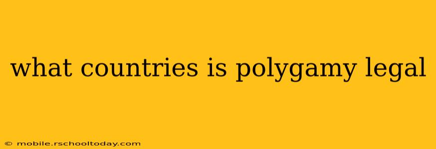 what countries is polygamy legal