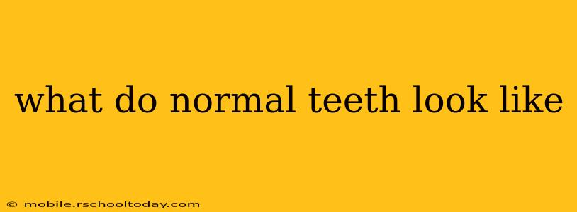 what do normal teeth look like