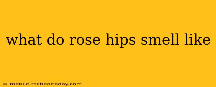 what do rose hips smell like