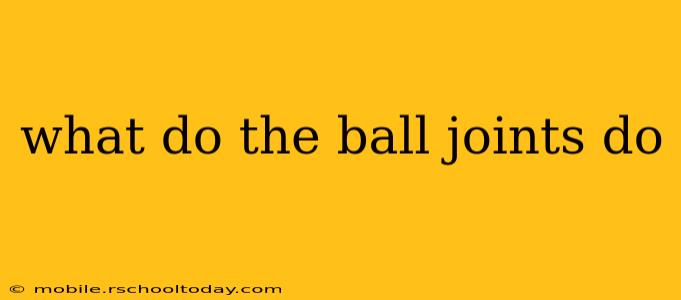 what do the ball joints do