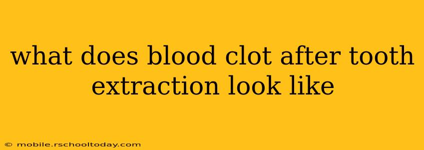 what does blood clot after tooth extraction look like