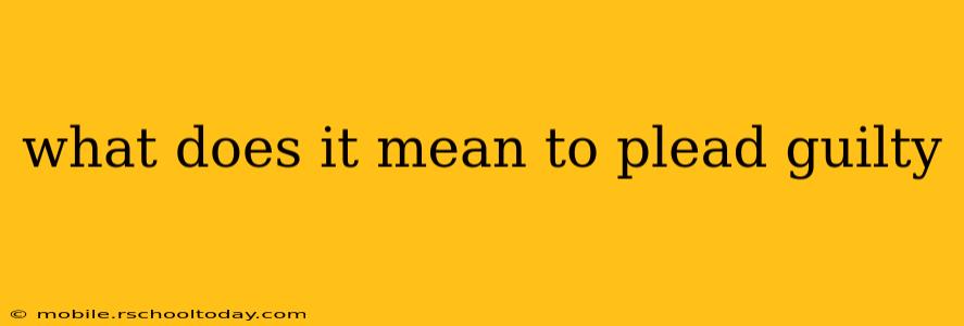 what does it mean to plead guilty