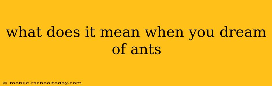 what does it mean when you dream of ants